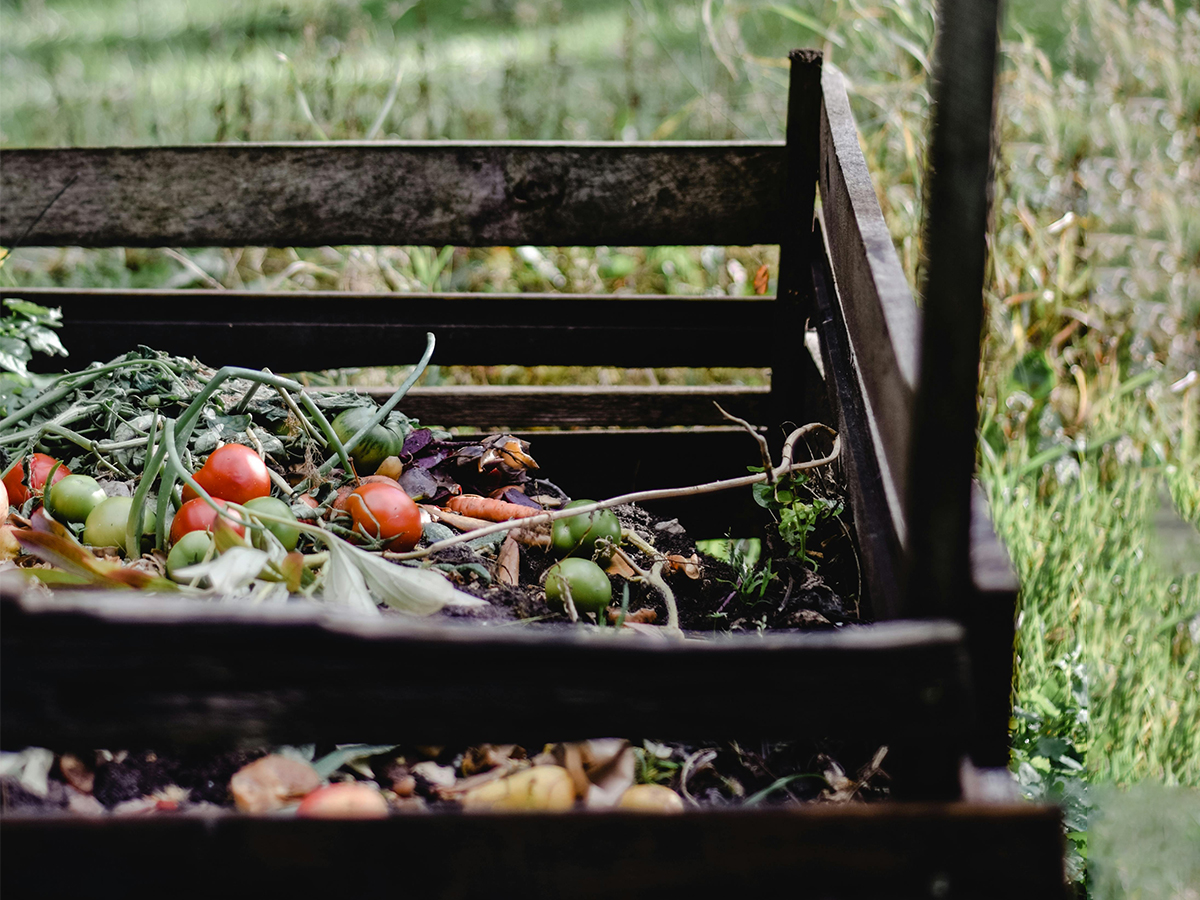 Composting your Organic Waste